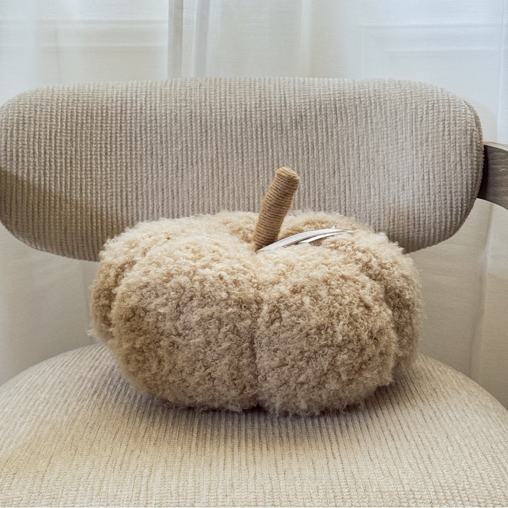 Cupcakes And Cashmere Teddy Sherpa Boucle Fall Pumpkin Decorative Pillow Large